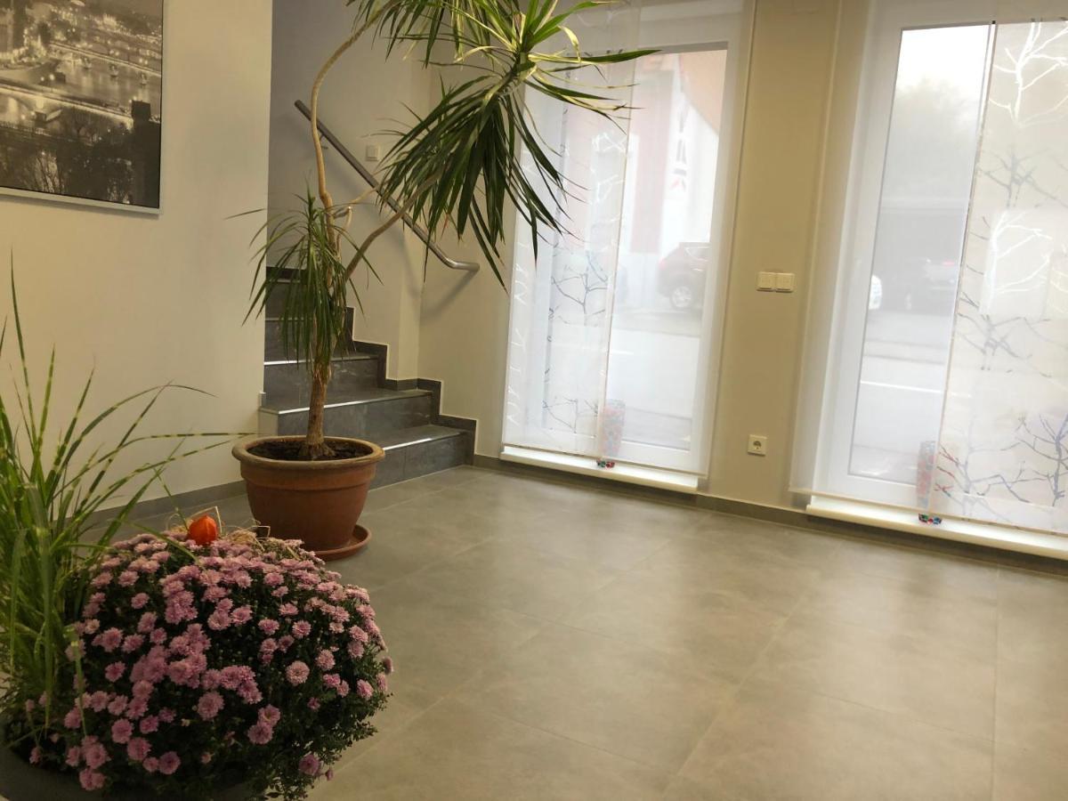 מלון Friedrichsthal Gaestehaus Residenz Aurora מראה חיצוני תמונה